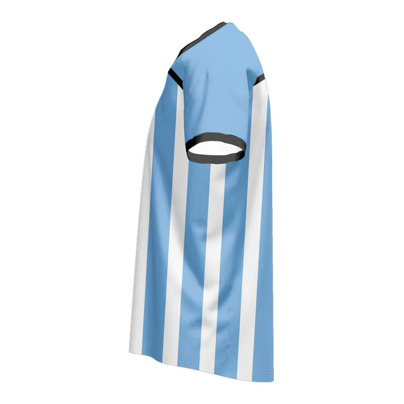 Argentina SlimFit HP Soccer Jersey Crew Neck Design Your Own Custom - Image 2