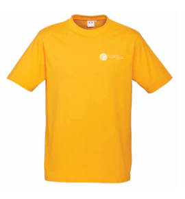 PMQ Modern Fit Tee - Image 6